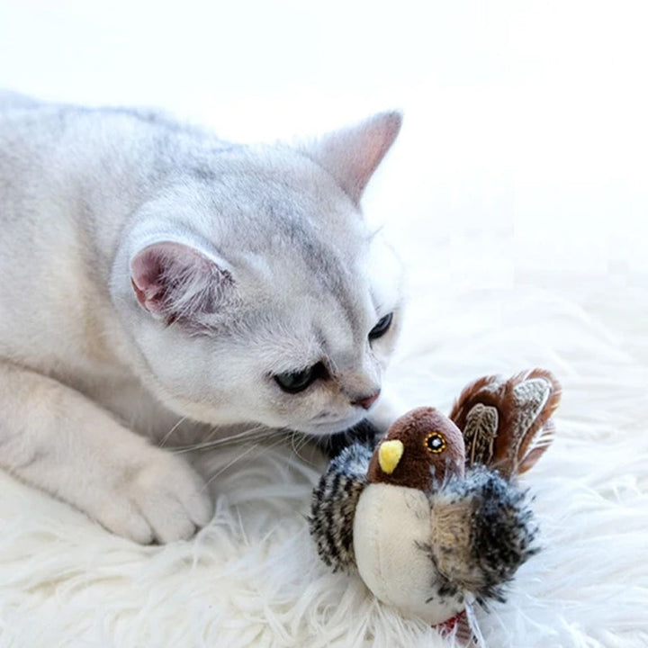 Skanto | Interaktiv kvitre katt leke