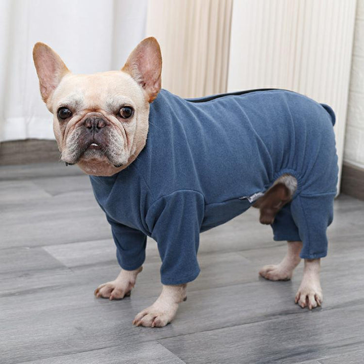 Skanto | Dog Recovery Suit after Surgery