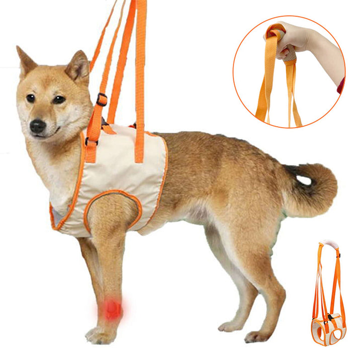 Skanto | Dog Support Lift Harness for ACL Rehab & Arthritis