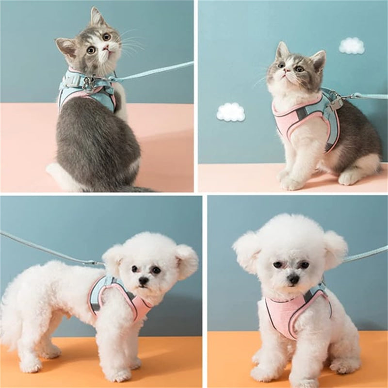 Skanto | Katt Vest Sel og Bånd Sett