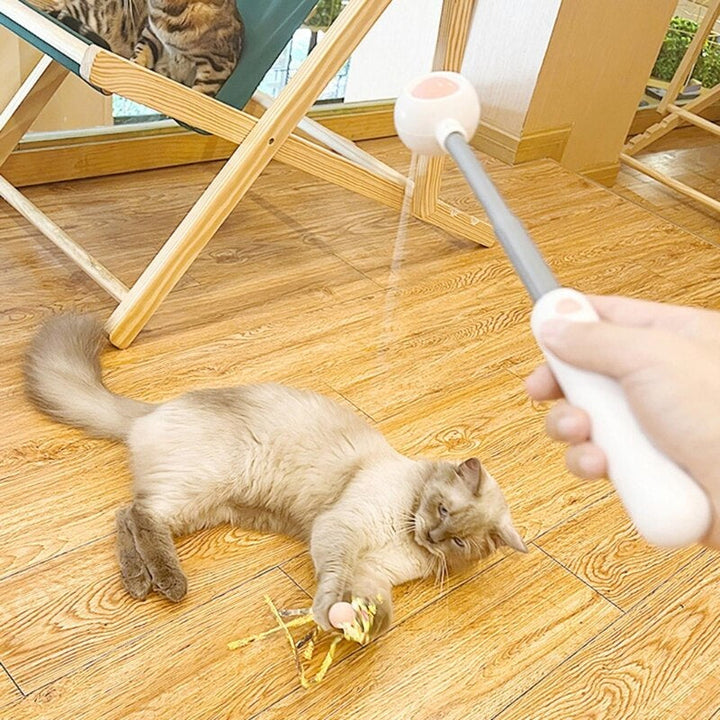 Skanto | Interaktiv Katt Teaser Stick Leke