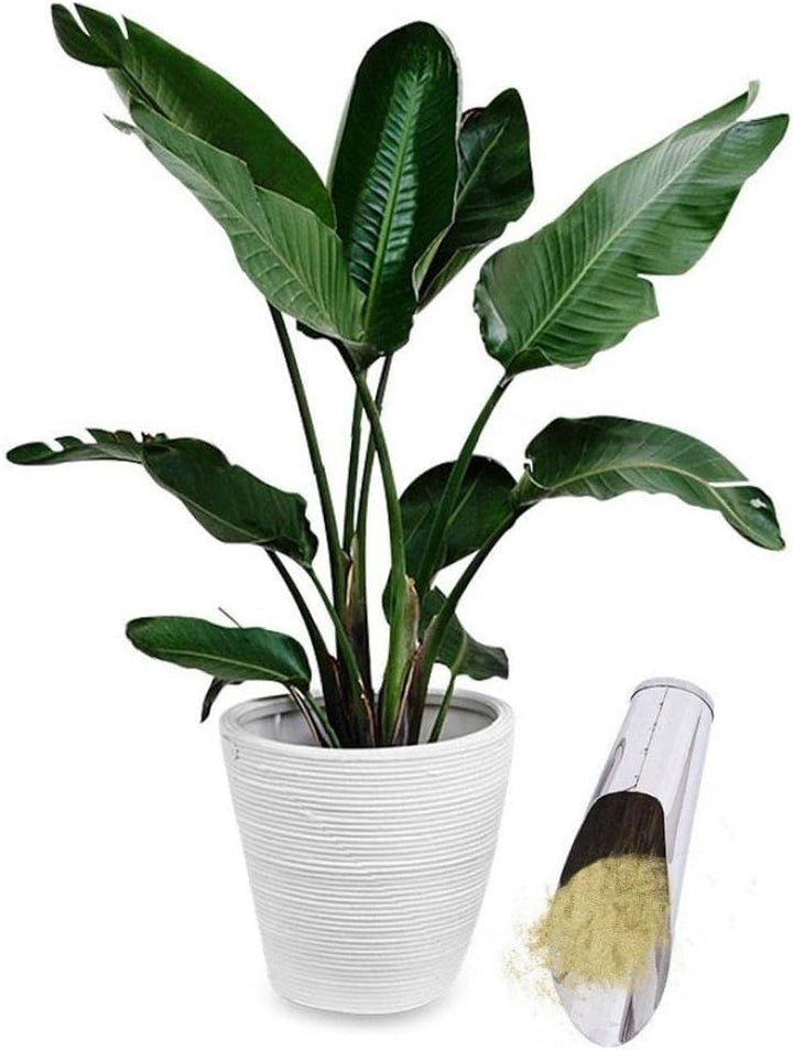 Skanto | Rustfritt Stål Scoop for Pottemuld – Robust Plantescoop for Hage og Balkong
