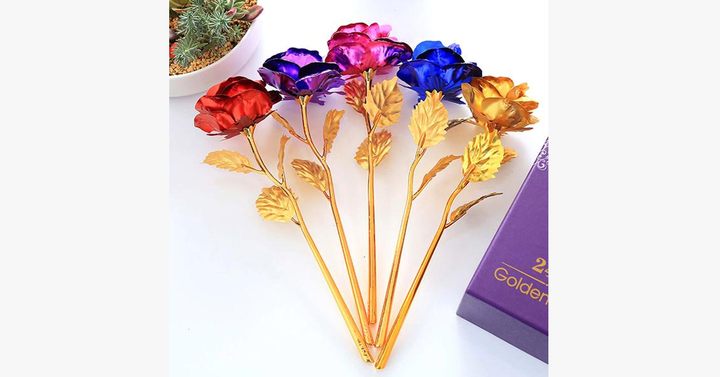 Skanto | 24K Always Gold Plated Rose - Various Colors