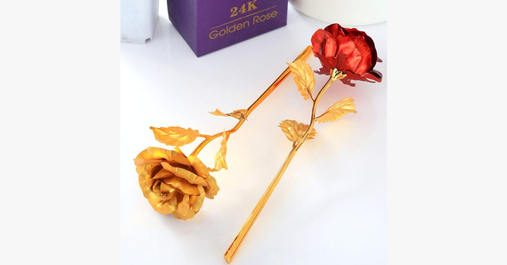 Skanto | 24K Always Gold Plated Rose - Various Colors