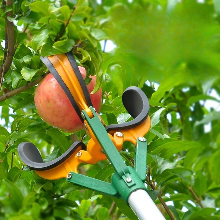 Skanto | Sky High Telescopic Håndtak Fruktplukker