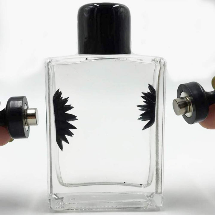 Ferrofluid Magnetisk Utstillingsleketøy | Skanto