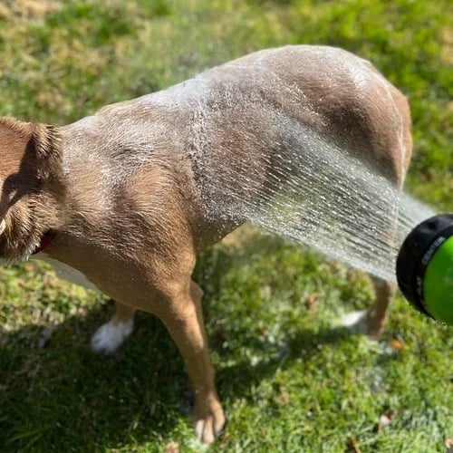 Skanto | Multi-mode Hundebad Skummende Vannpistol