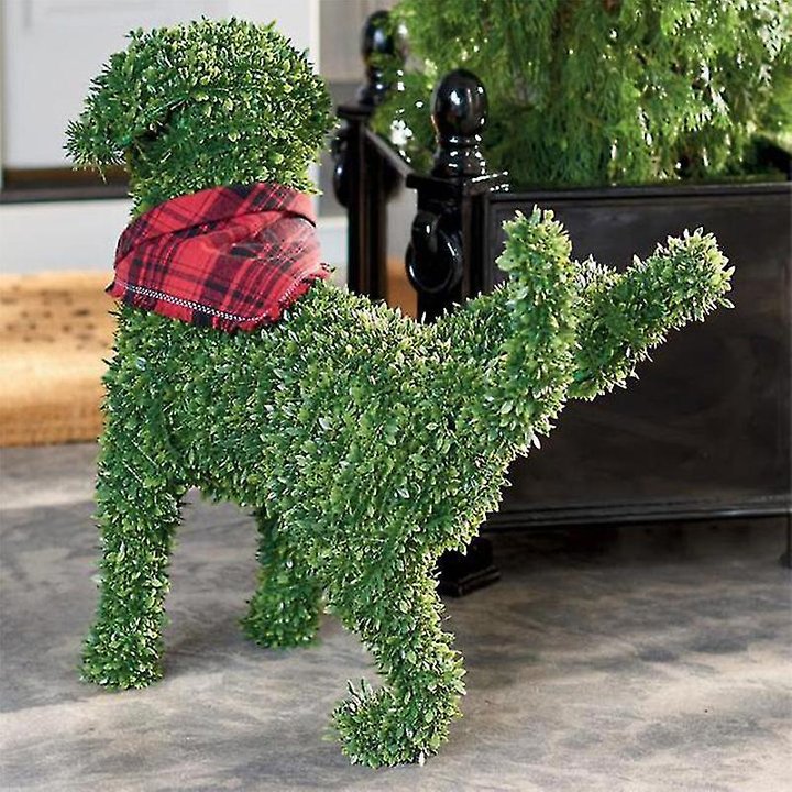 Skanto | Dekorativ Pissende Hund Topiary