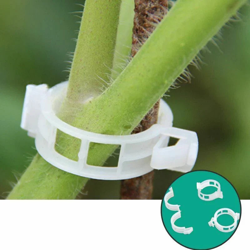 Skanto | Plante støtteklips for klatreplanter – Fleksibel holder for plante stengler