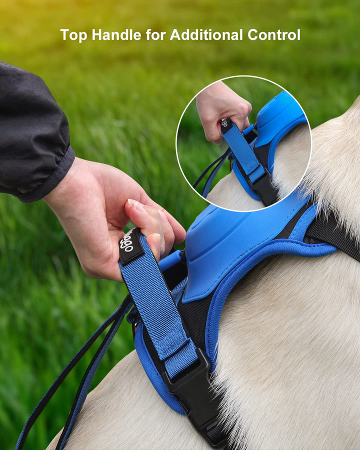 Skanto | mamymarket™ - Hundesele og sammenleggbar båndsett Alt-i-ett