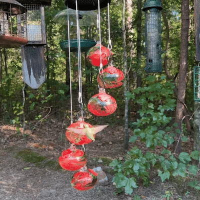 Skanto | CharmesHummingbird | Vekk hagen din til magi