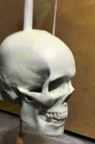 Skanto | Iron Skull Whirligig - Hagedekor