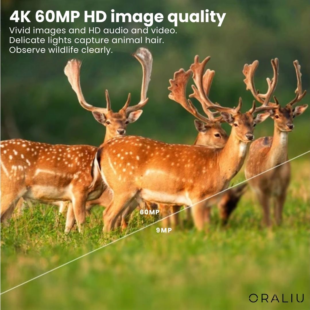Skanto | 4K Ultra HD Viltkamera – 60MP med appkontroll