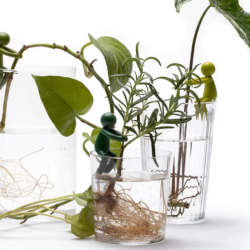 Skanto | Planteformering Venn