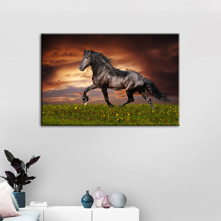 Galopperende svart hest – lerretbilde