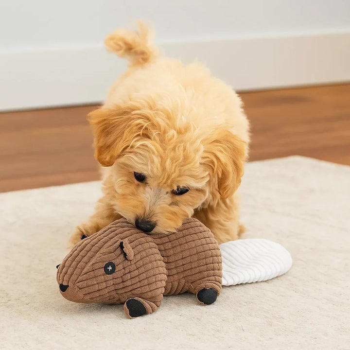 Skanto | Hundelek Plush Squeaky Chew Dyr