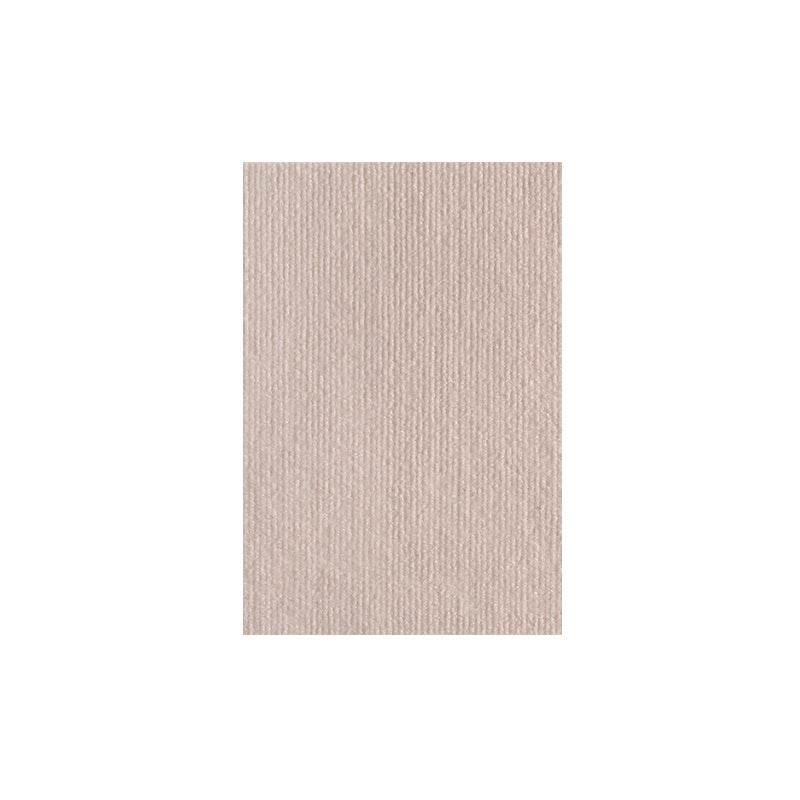 Skanto | Klorematte for katter