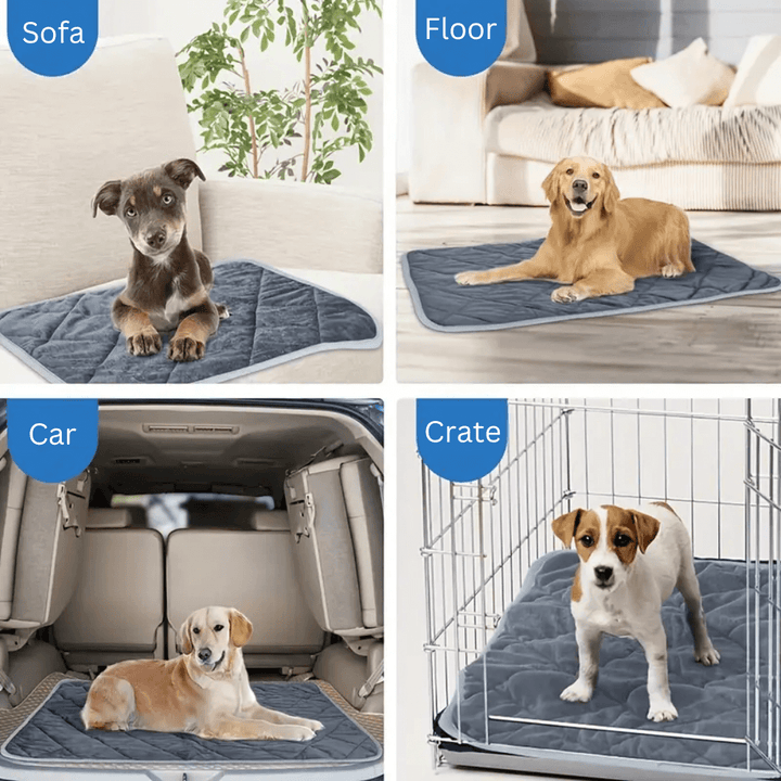 ToastyPaws Selvoppvarmende Pute for Hund