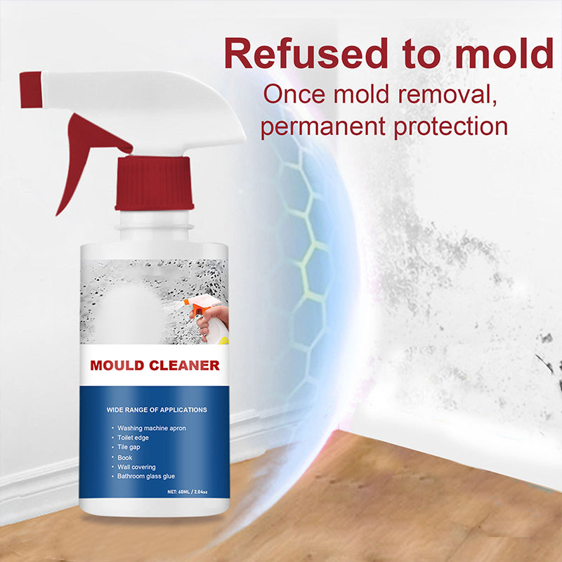 Skanto | Skanto Mold Cleaner Foam Mold Deodorant Decontamination Fast-Acting Spray