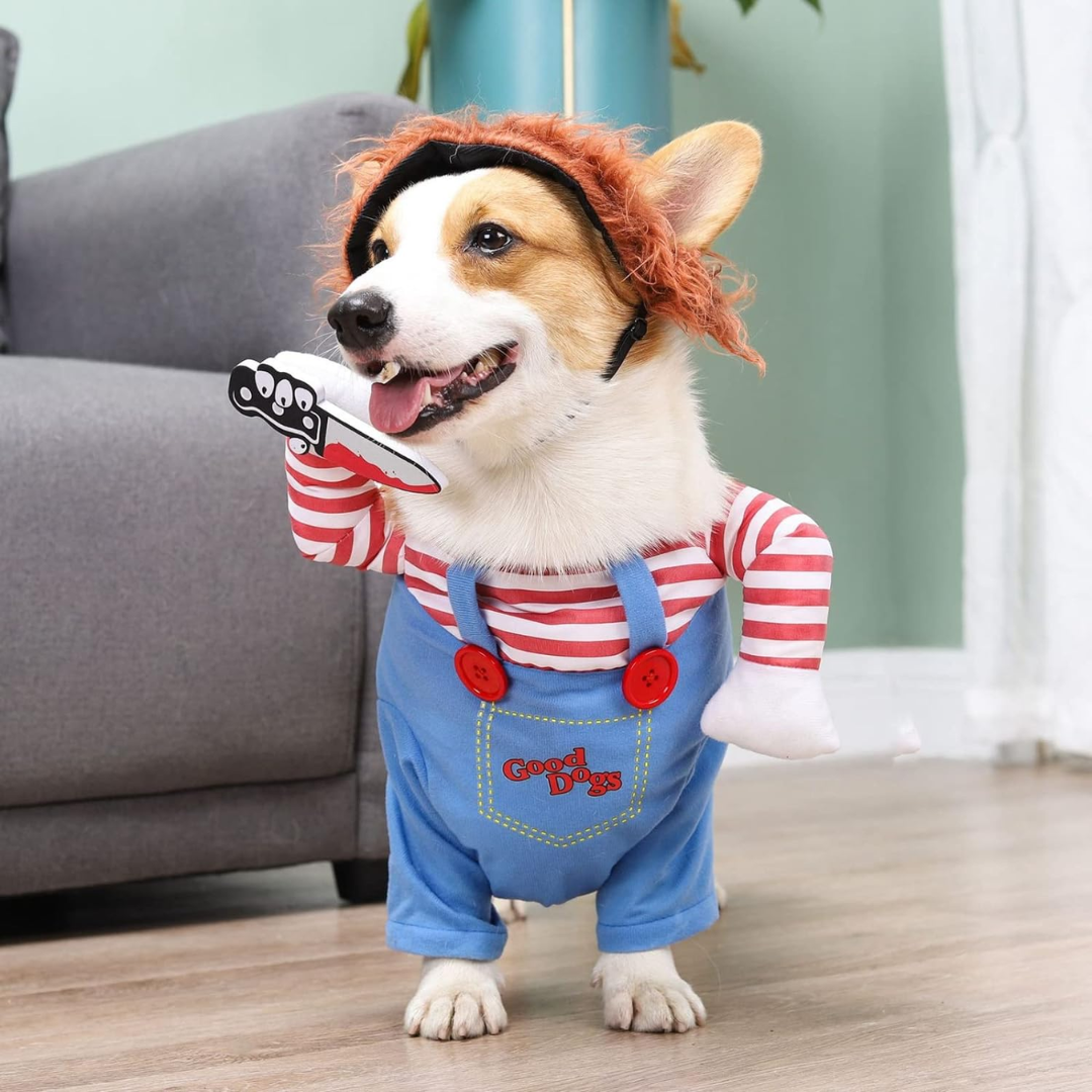 Chucky Kjæledyr Halloween Kostyme – Forsterk Kjæledyrets Lekne Personlighet Skanto