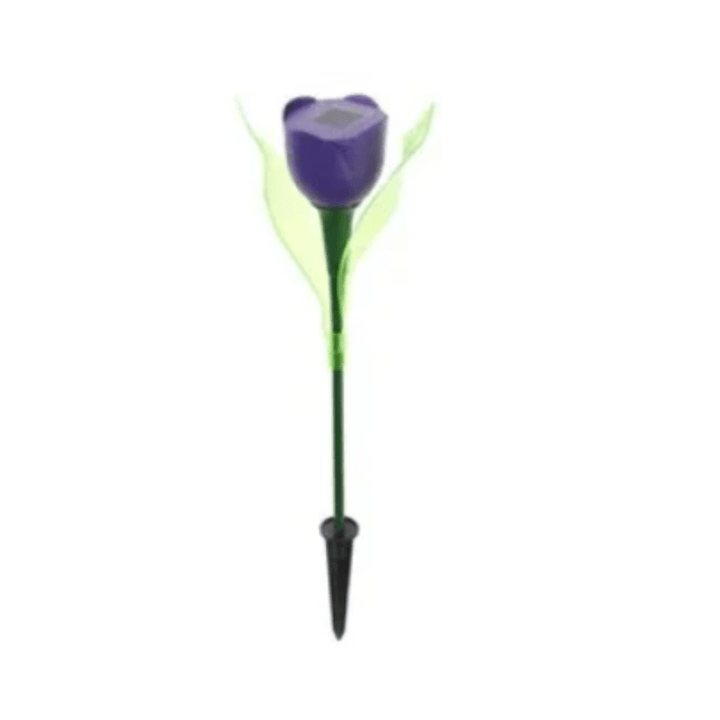 Skanto | Tulip lys som naturlig opplyser kvelder!