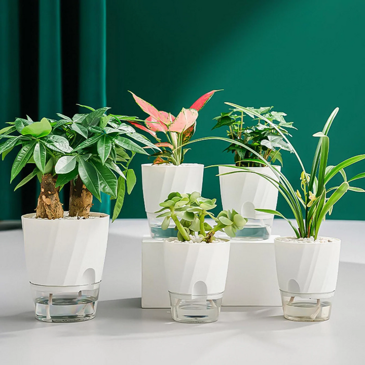 Skanto | Selv vanning planter