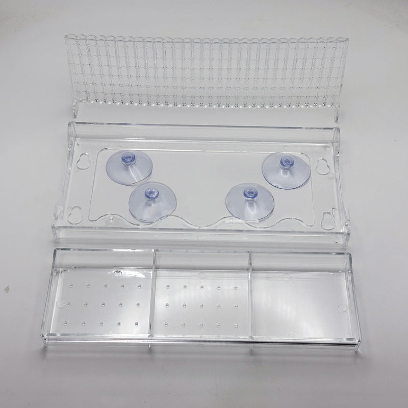 Skanto | Utendørs Clear-Window-Suction-Cup-Fuglekasse