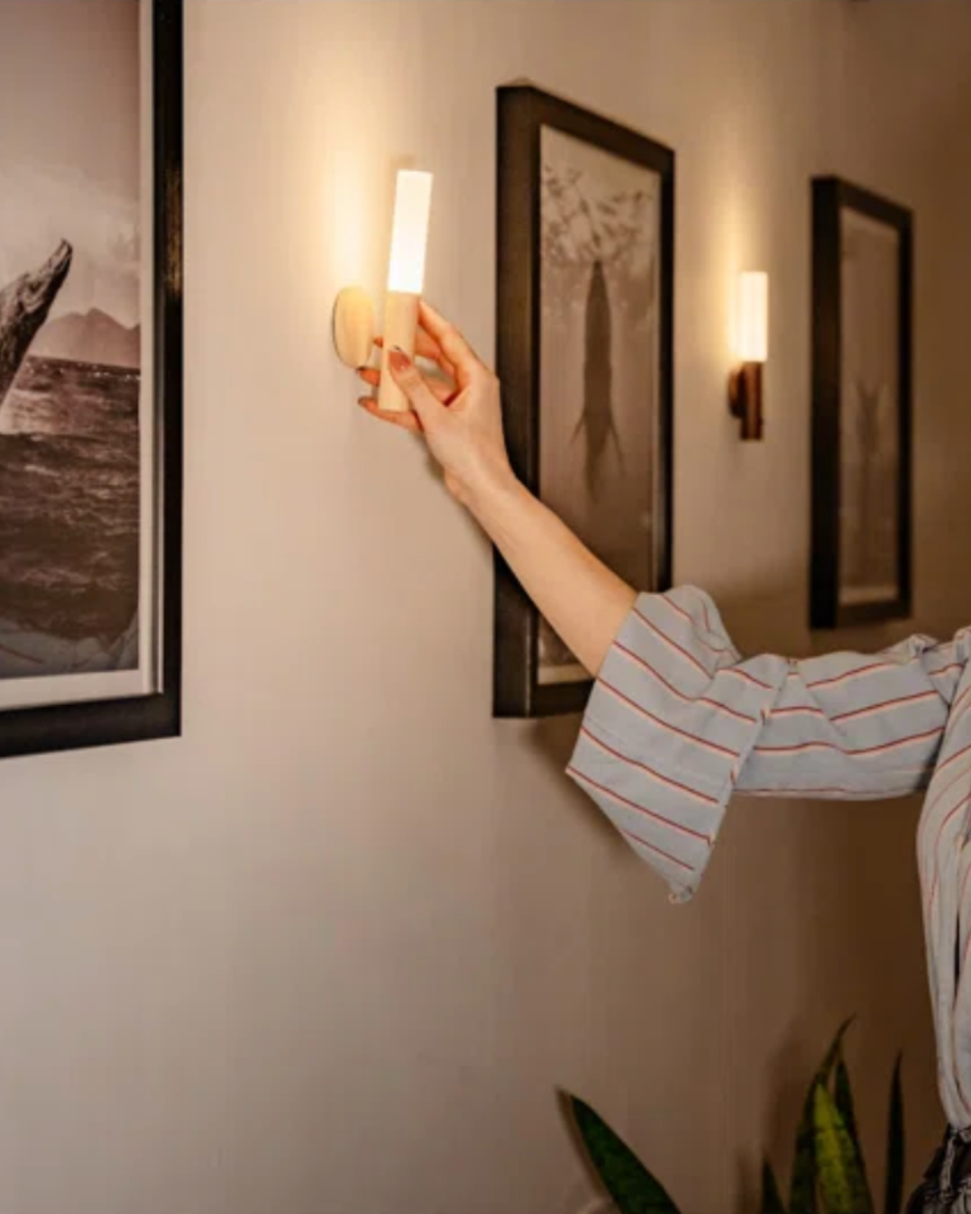 Norvo | Trådløs Tre Veggmontert Vegglampe