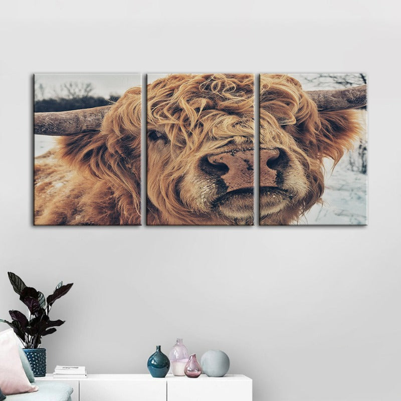 Close Up Brun Kuh-Canvas Veggkunst Maleri 3 Stykker | Skanto