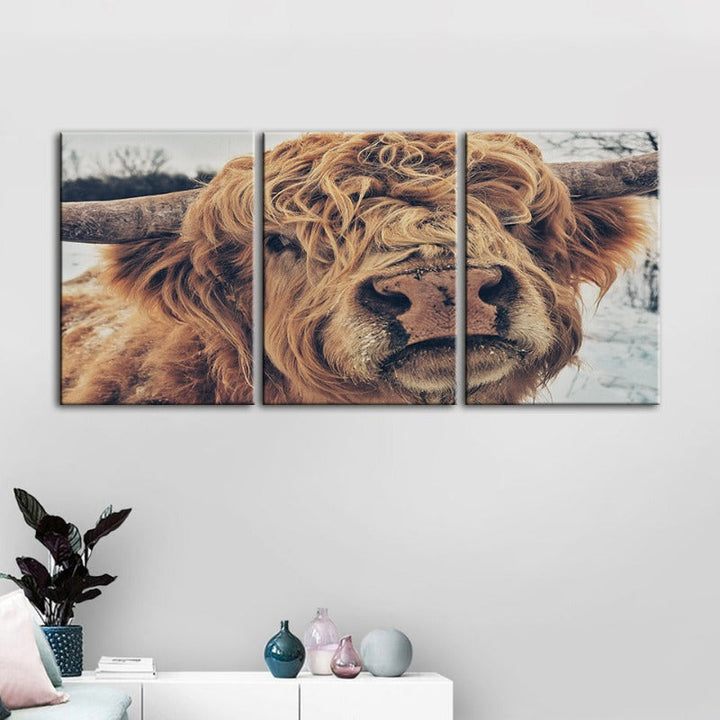 Close Up Brun Kuh-Canvas Veggkunst Maleri 3 Stykker | Skanto