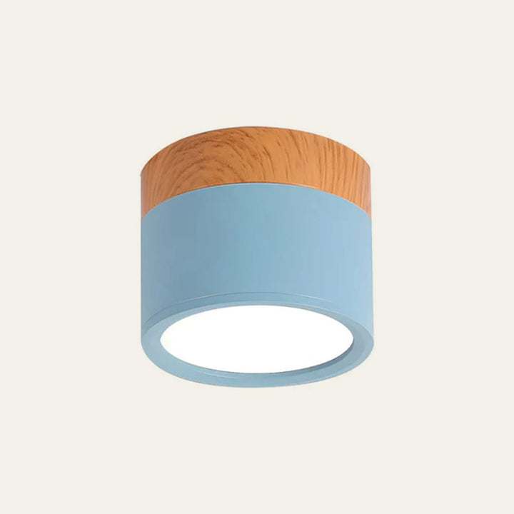 Skanto | LED Taklampe Moderne Flush Mount Sylinder