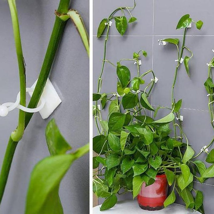 Veggholder for klatreplanter (30 deler) | Skanto