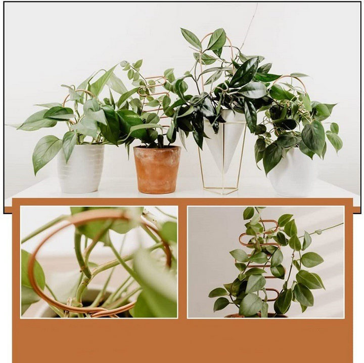 Skanto | Metall plante støtte for klatreplanter i ulike former