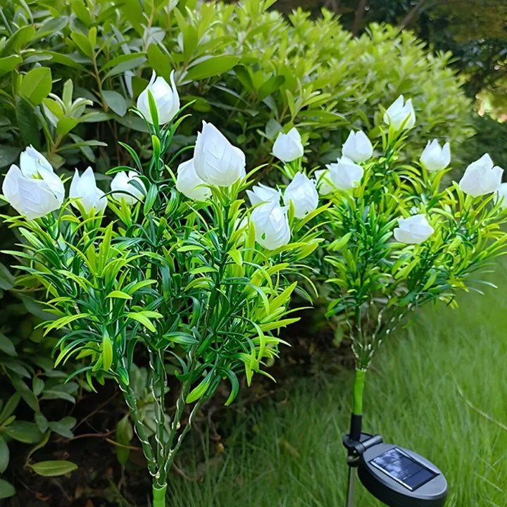 Skanto | Everbloom Solblomster Lys