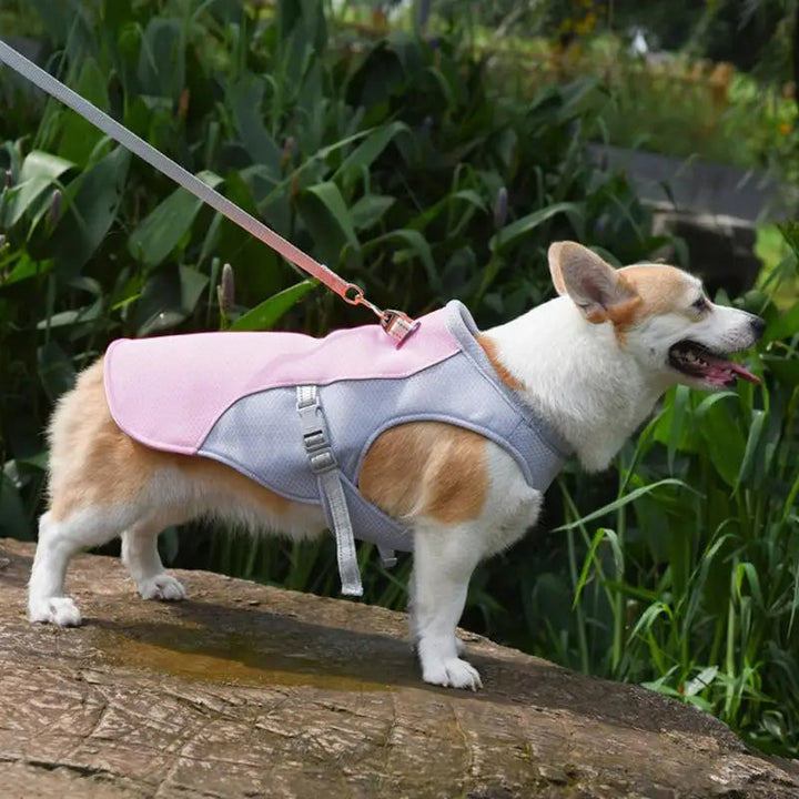 Hund Küling Vest for Utendørs Aktiviteter | Skanto