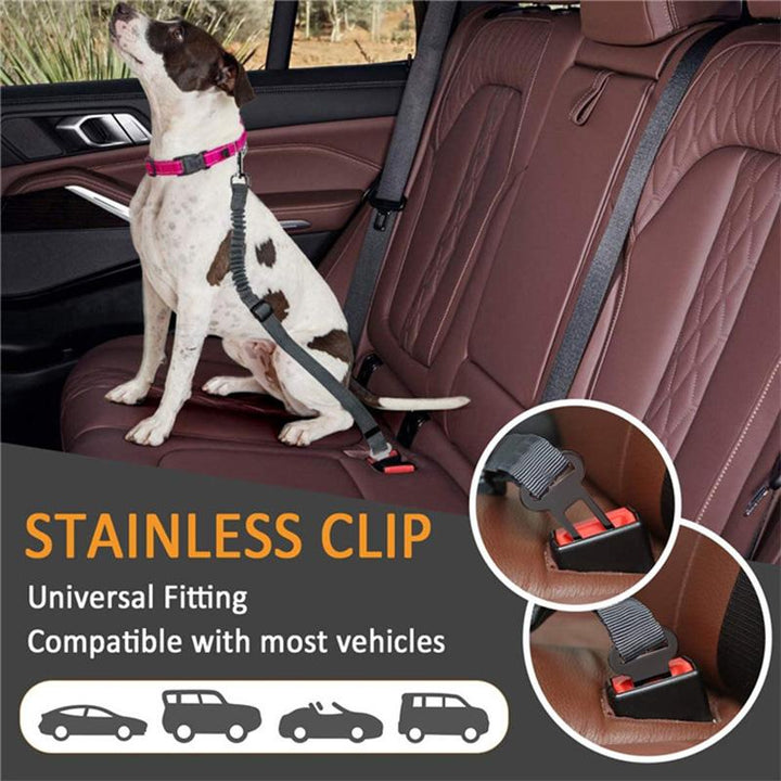 Skanto | Justerbare sikkerhetsbelter for hunder
