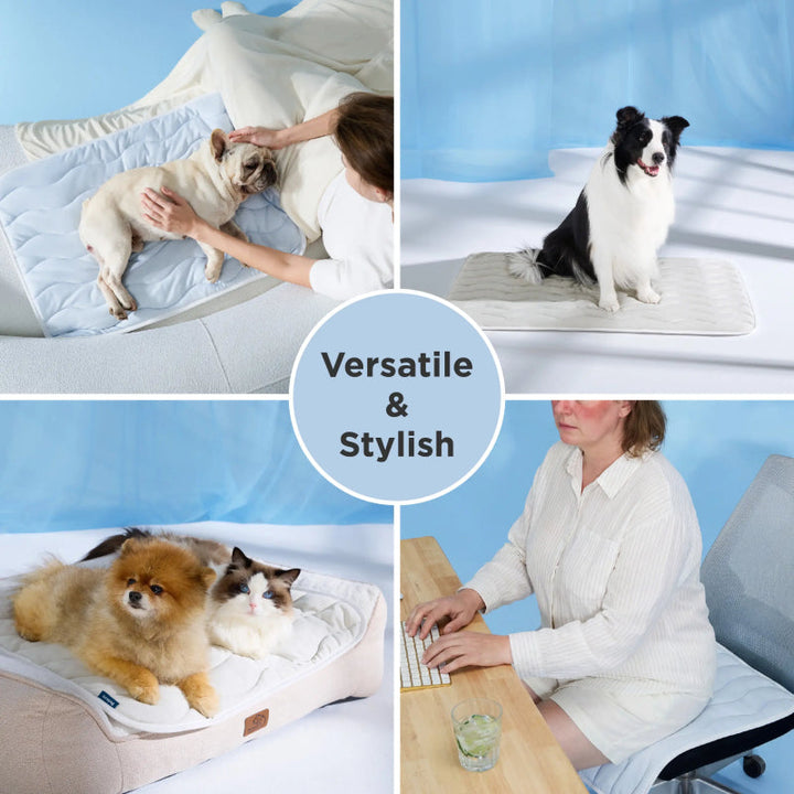 Extra stor avkjølingsmatte for hunder | Skanto