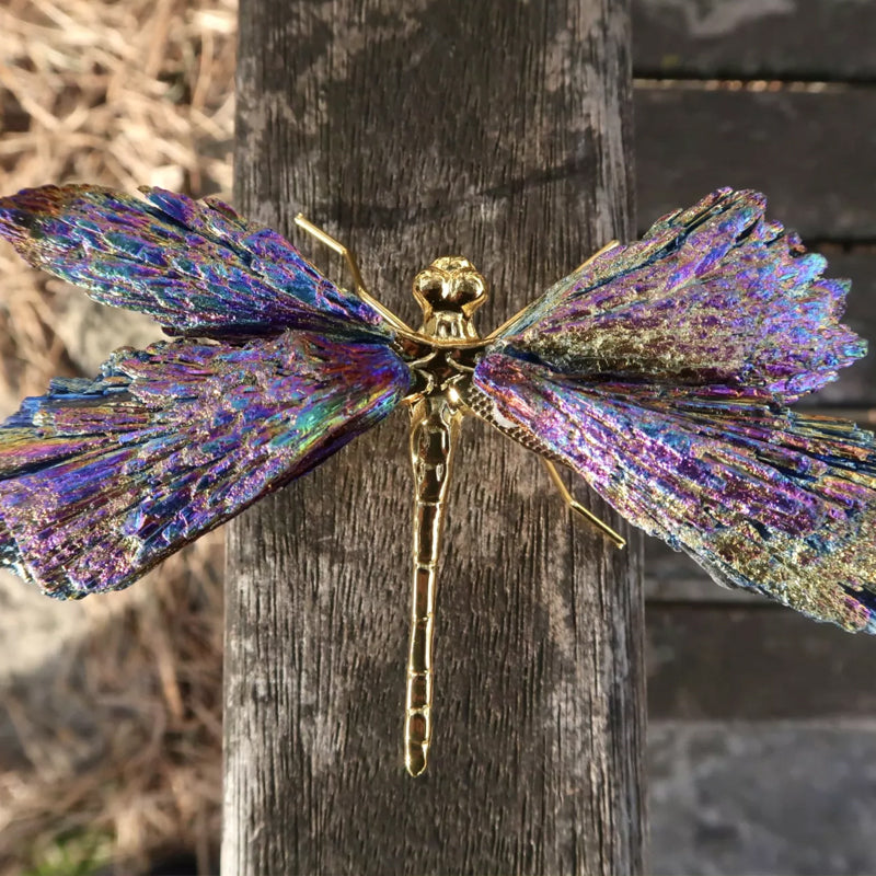 AURA TOURMALINE KYANITE DRAGEFLY | Skanto