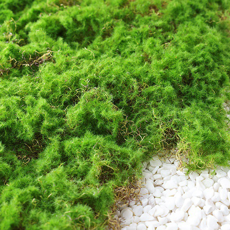 Skanto | Moss Dekorasjonselement – Moss Flak Ornament for Dekorasjon og Landskapspleie