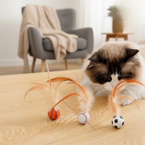 FetherSprint — Slipp løs den ville jegeren i katten din med stille leke moro! | Skanto