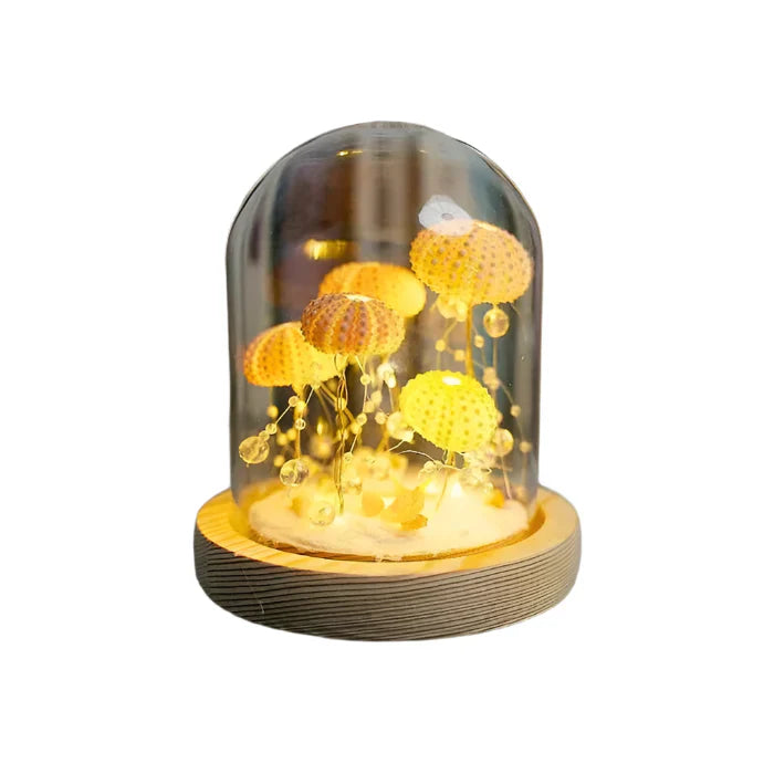CoastalGlow DIY pinnsvin nattlys Skanto