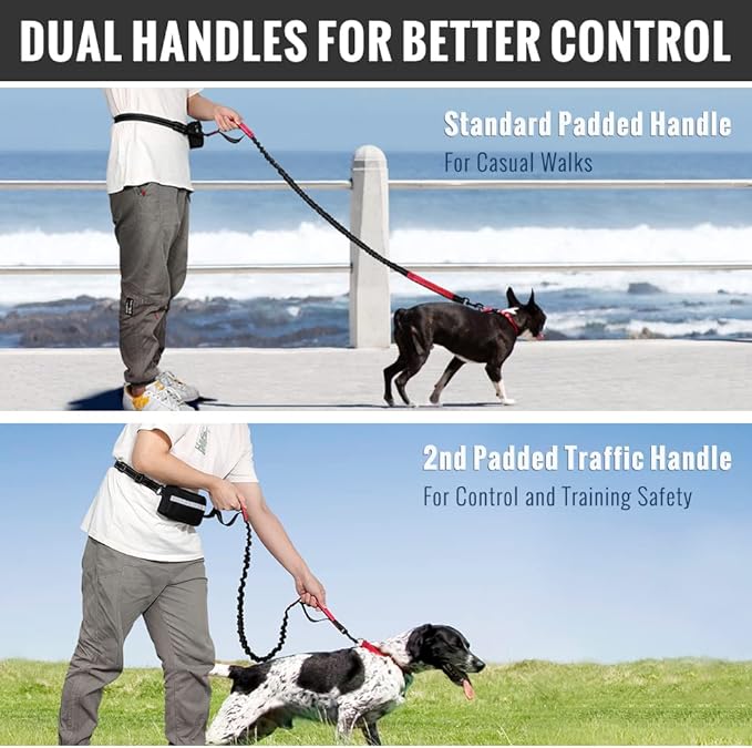 Skanto | PawsFree Pro – Nyt stressfrie turer med hunden din