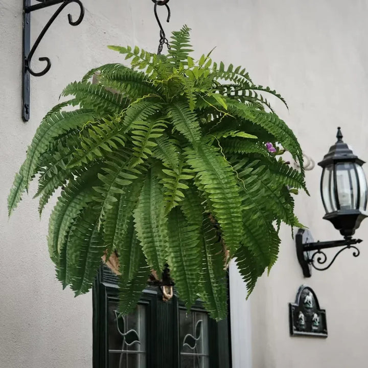 Skanto | Livaktig Grønnery Dekor Bregne