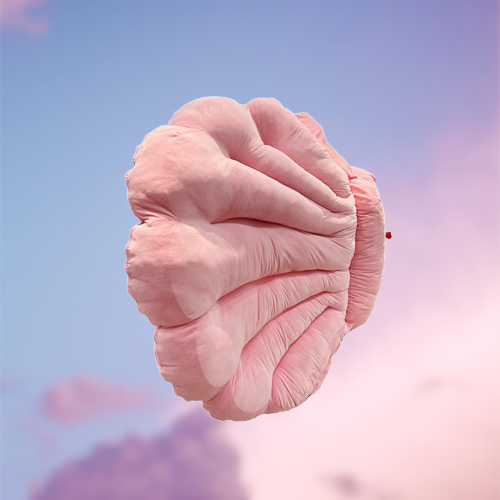 Norvo | Comfy Rest Dream Shell Sovepose