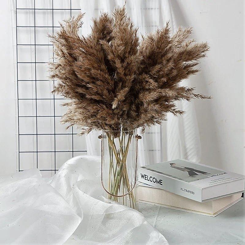 Norvo | 60 cm naturlig, ekte, brunt-beige tørket pampasgress bukett │ fluffy fjær for moderne boho hjemmeinnredning