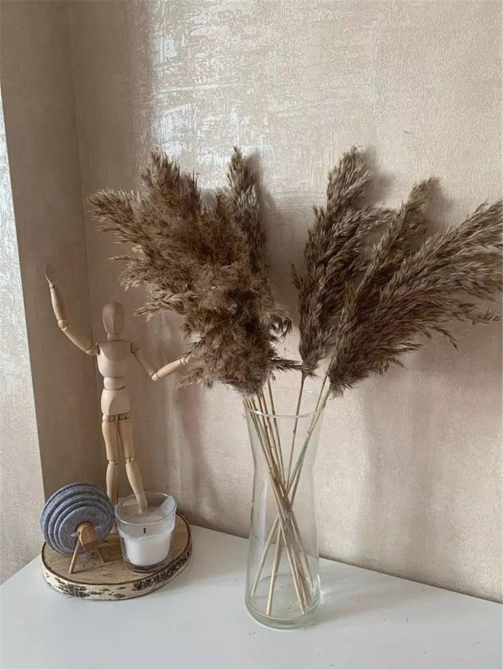 Norvo | 60 cm naturlig, ekte, brunt-beige tørket pampasgress bukett │ fluffy fjær for moderne boho hjemmeinnredning