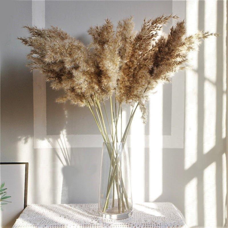 Norvo | 60 cm naturlig, ekte, brunt-beige tørket pampasgress bukett │ fluffy fjær for moderne boho hjemmeinnredning