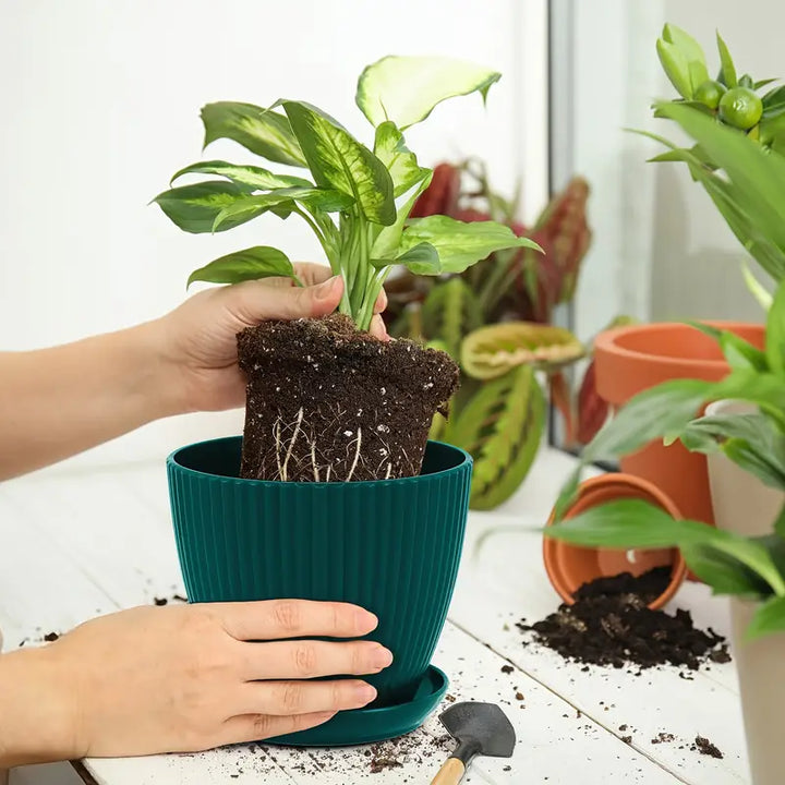 Skanto | Blomsterpotte med sporstruktur og skål – Robust plastpotte for planter