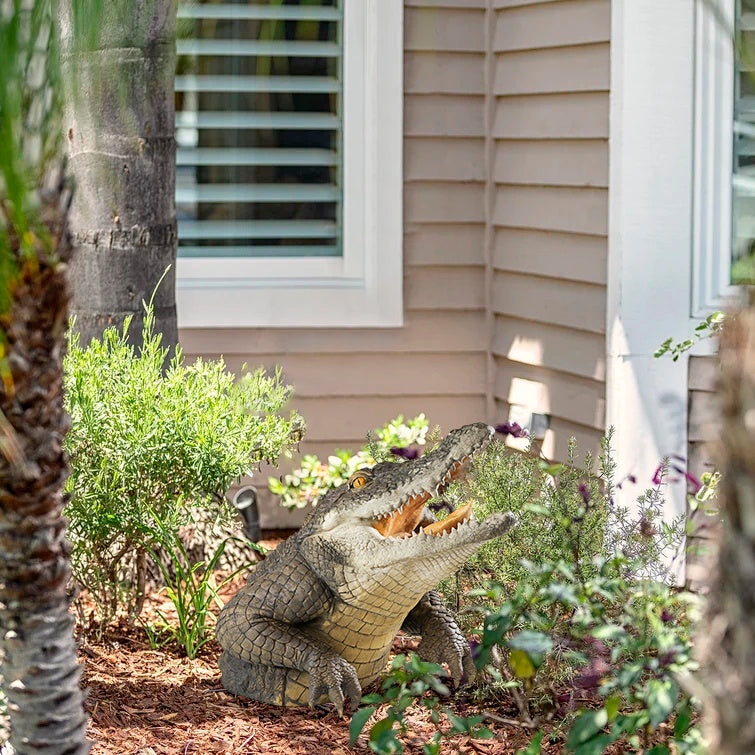 Skanto | Hage Swamp Gator Statue