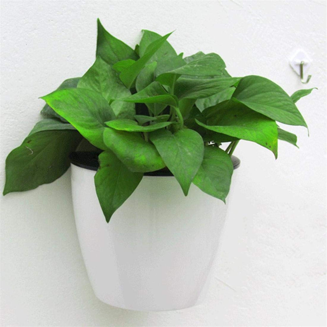 Skanto | Selvvannende hengende planterpotte – Moderne blomsterpotte for veggmontering
